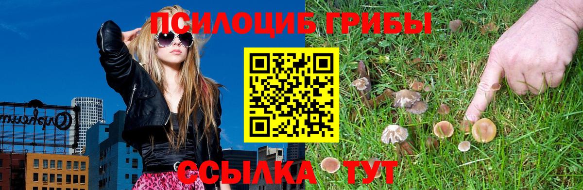 Галлюциногенные грибы MAGIC MUSHROOMS  Вход с VPN  Псилоцибиновые грибы мицелий  хочу наркоту  Ейск 