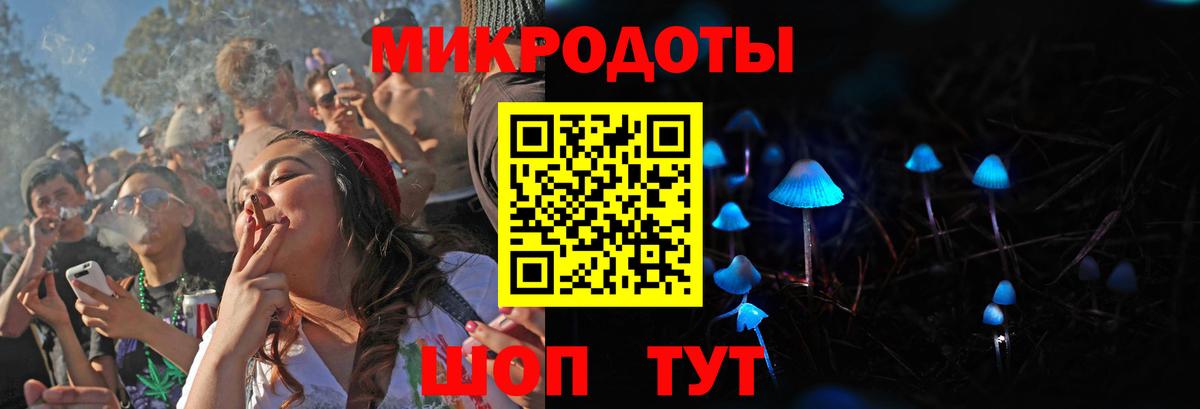 Псилоцибиновые грибы мицелий Ейск